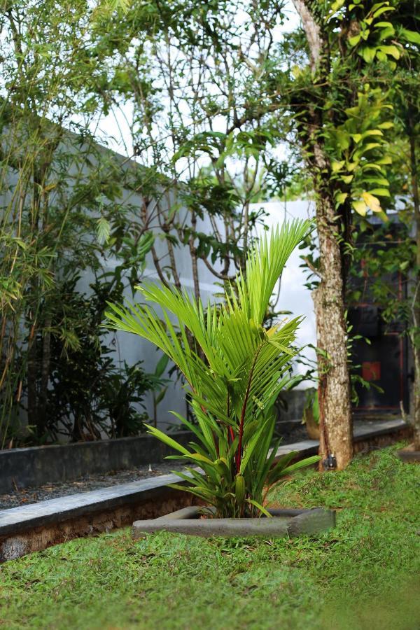 Triple Edge Villa Unawatuna Exterior foto